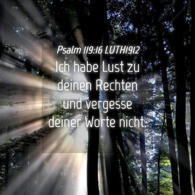 Picture 04 - Psalm 119:16 LUTH1912 - Ich habe Lust zu deinen Rechten und vergesse - Bible Verse Picture