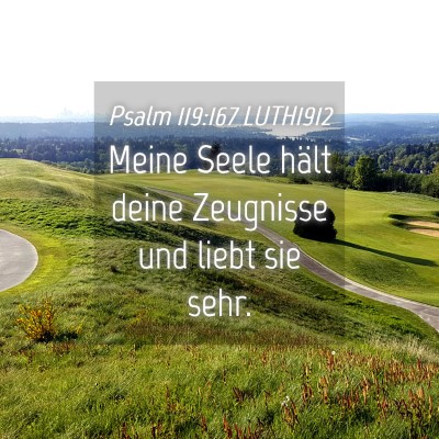 Picture 04 - Psalm 119:167 LUTH1912 - Meine Seele hält deine Zeugnisse und liebt sie - Bible Verse Picture