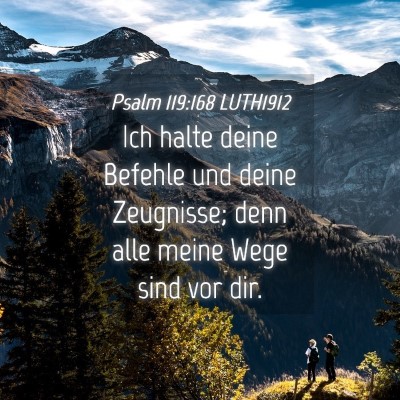 Picture 04 - Psalm 119:168 LUTH1912 - Ich halte deine Befehle und deine Zeugnisse; denn - Bible Verse Picture