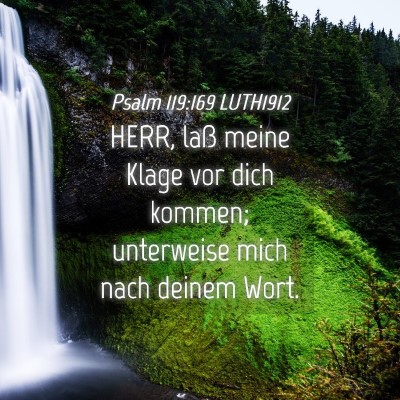 Picture 04 - Psalm 119:169 LUTH1912 - HERR, laß meine Klage vor dich kommen; - Bible Verse Picture