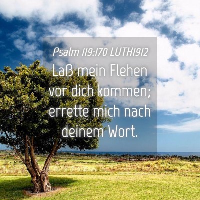 Picture 04 - Psalm 119:170 LUTH1912 - Laß mein Flehen vor dich kommen; errette mich - Bible Verse Picture
