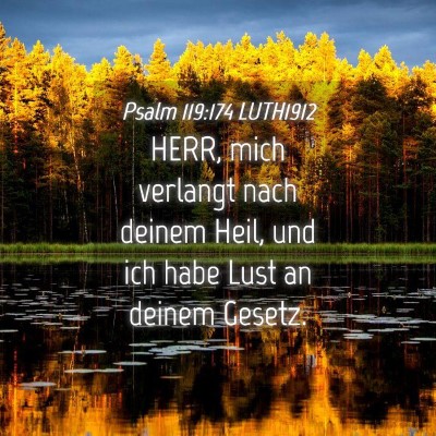 Picture 04 - Psalm 119:174 LUTH1912 - HERR, mich verlangt nach deinem Heil, und ich - Bible Verse Picture