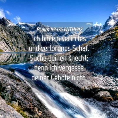 Picture 04 - Psalm 119:176 LUTH1912 - Ich bin ein verirrtes und verlorenes Schaf. Suche - Bible Verse Picture