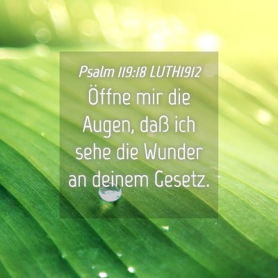 Picture 04 - Psalm 119:18 LUTH1912 - Öffne mir die Augen, daß ich sehe die Wunder an - Bible Verse Picture