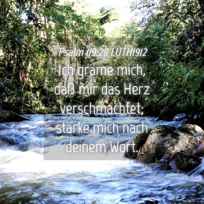 Picture 04 - Psalm 119:28 LUTH1912 - Ich gräme mich, daß mir das Herz verschmachtet; - Bible Verse Picture