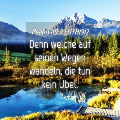 Picture 04 - Psalm 119:3 LUTH1912 - Denn welche auf seinen Wegen wandeln, die tun - Bible Verse Picture