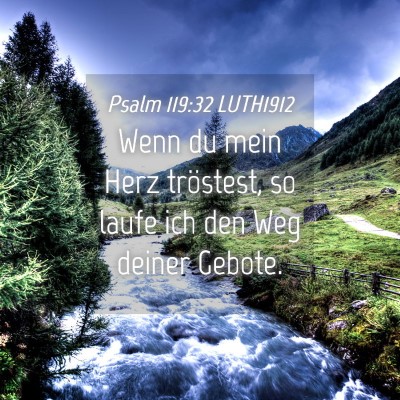 Picture 04 - Psalm 119:32 LUTH1912 - Wenn du mein Herz tröstest, so laufe ich den Weg - Bible Verse Picture