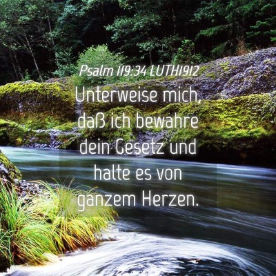 Picture 04 - Psalm 119:34 LUTH1912 - Unterweise mich, daß ich bewahre dein Gesetz und - Bible Verse Picture