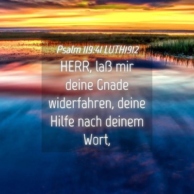 Picture 04 - Psalm 119:41 LUTH1912 - HERR, laß mir deine Gnade widerfahren, deine - Bible Verse Picture