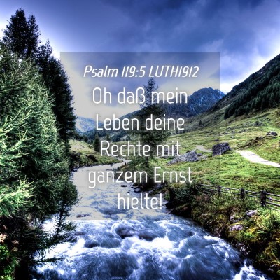 Picture 04 - Psalm 119:5 LUTH1912 - Oh daß mein Leben deine Rechte mit ganzem Ernst - Bible Verse Picture