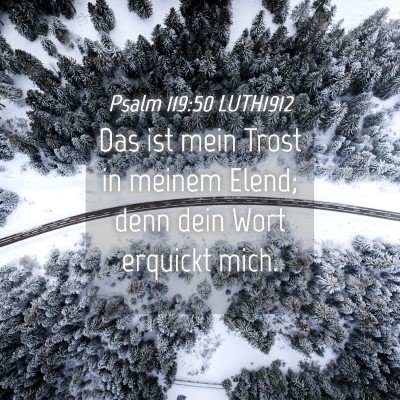 Picture 04 - Psalm 119:50 LUTH1912 - Das ist mein Trost in meinem Elend; denn dein - Bible Verse Picture