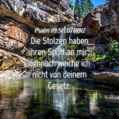 Picture 04 - Psalm 119:51 LUTH1912 - Die Stolzen haben ihren Spott an mir; dennoch - Bible Verse Picture