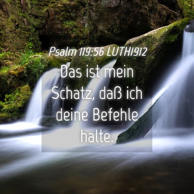 Picture 04 - Psalm 119:56 LUTH1912 - Das ist mein Schatz, daß ich deine Befehle - Bible Verse Picture