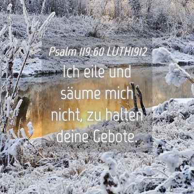 Picture 04 - Psalm 119:60 LUTH1912 - Ich eile und säume mich nicht, zu halten deine - Bible Verse Picture