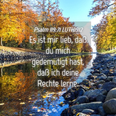 Picture 04 - Psalm 119:71 LUTH1912 - Es ist mir lieb, daß du mich gedemütigt hast, - Bible Verse Picture