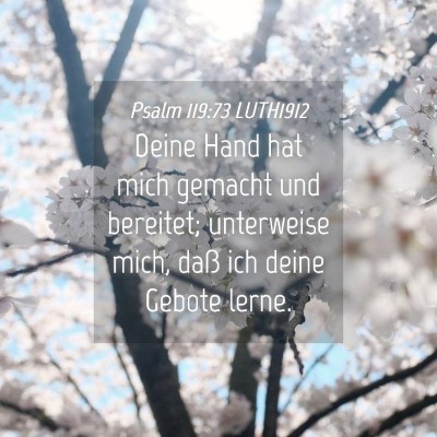 Picture 04 - Psalm 119:73 LUTH1912 - Deine Hand hat mich gemacht und bereitet; - Bible Verse Picture