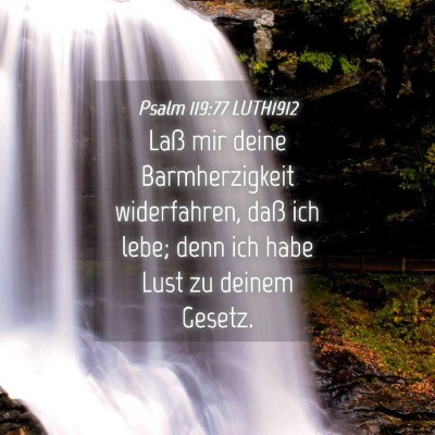 Picture 04 - Psalm 119:77 LUTH1912 - Laß mir deine Barmherzigkeit widerfahren, daß - Bible Verse Picture