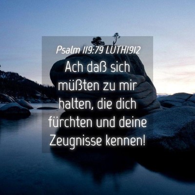 Picture 04 - Psalm 119:79 LUTH1912 - Ach daß sich müßten zu mir halten, die dich - Bible Verse Picture