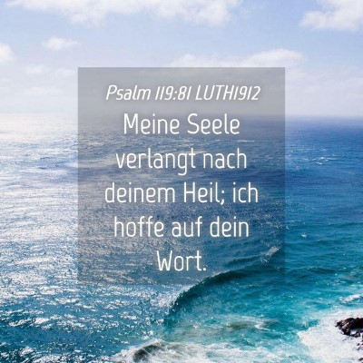 Picture 04 - Psalm 119:81 LUTH1912 - Meine Seele verlangt nach deinem Heil; ich hoffe - Bible Verse Picture