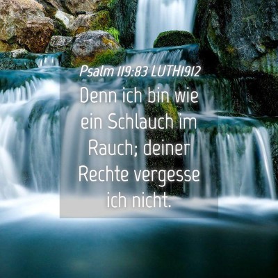 Picture 04 - Psalm 119:83 LUTH1912 - Denn ich bin wie ein Schlauch im Rauch; deiner - Bible Verse Picture