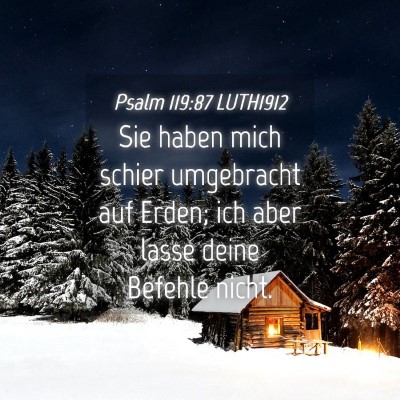 Picture 04 - Psalm 119:87 LUTH1912 - Sie haben mich schier umgebracht auf Erden; ich - Bible Verse Picture