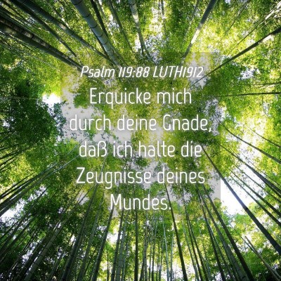 Picture 04 - Psalm 119:88 LUTH1912 - Erquicke mich durch deine Gnade, daß ich halte - Bible Verse Picture
