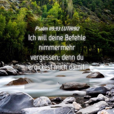 Picture 04 - Psalm 119:93 LUTH1912 - Ich will deine Befehle nimmermehr vergessen; denn - Bible Verse Picture