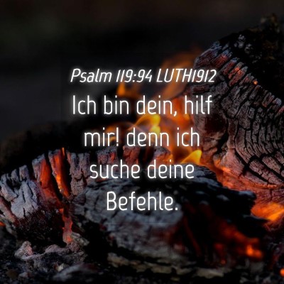 Picture 04 - Psalm 119:94 LUTH1912 - Ich bin dein, hilf mir! denn ich suche deine - Bible Verse Picture