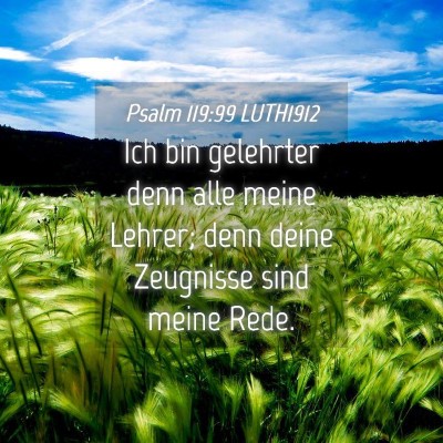 Picture 04 - Psalm 119:99 LUTH1912 - Ich bin gelehrter denn alle meine Lehrer; denn - Bible Verse Picture