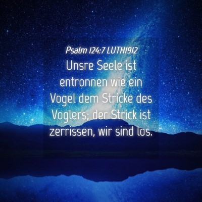 Picture 04 - Psalm 124:7 LUTH1912 - Unsre Seele ist entronnen wie ein Vogel dem - Bible Verse Picture