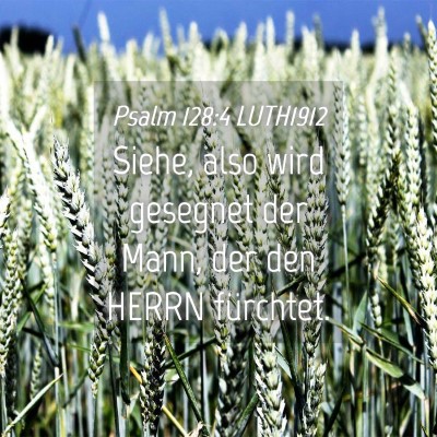 Picture 04 - Psalm 128:4 LUTH1912 - Siehe, also wird gesegnet der Mann, der den HERRN - Bible Verse Picture