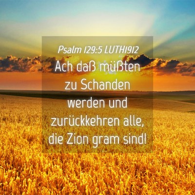 Picture 04 - Psalm 129:5 LUTH1912 - Ach daß müßten zu Schanden werden und - Bible Verse Picture