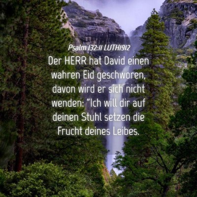 Picture 04 - Psalm 132:11 LUTH1912 - Der HERR hat David einen wahren Eid geschworen, - Bible Verse Picture