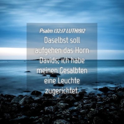 Picture 04 - Psalm 132:17 LUTH1912 - Daselbst soll aufgehen das Horn Davids; ich habe - Bible Verse Picture