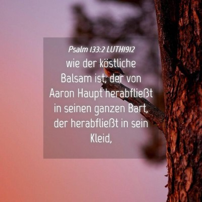 Picture 04 - Psalm 133:2 LUTH1912 - wie der köstliche Balsam ist, der von Aaron - Bible Verse Picture