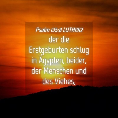 Picture 04 - Psalm 135:8 LUTH1912 - der die Erstgeburten schlug in Ägypten, beider, - Bible Verse Picture