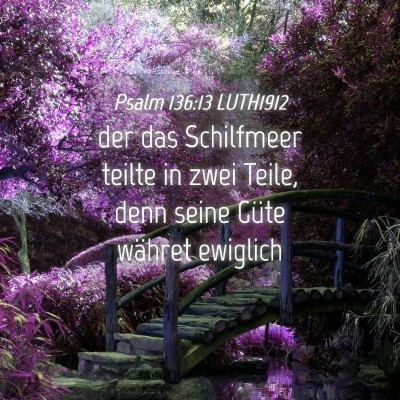 Picture 04 - Psalm 136:13 LUTH1912 - der das Schilfmeer teilte in zwei Teile, denn - Bible Verse Picture