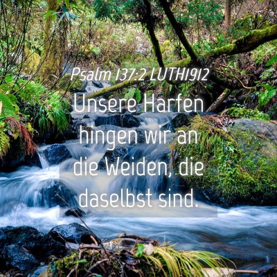Picture 04 - Psalm 137:2 LUTH1912 - Unsere Harfen hingen wir an die Weiden, die - Bible Verse Picture