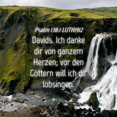 Picture 04 - Psalm 138:1 LUTH1912 - Davids. Ich danke dir von ganzem Herzen; vor den - Bible Verse Picture