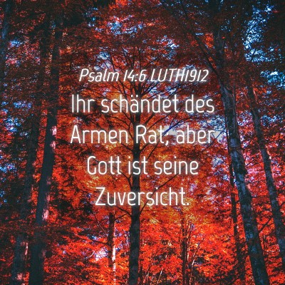 Picture 04 - Psalm 14:6 LUTH1912 - Ihr schändet des Armen Rat; aber Gott ist seine - Bible Verse Picture