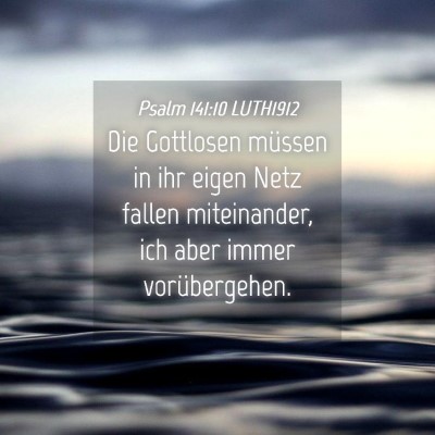 Picture 04 - Psalm 141:10 LUTH1912 - Die Gottlosen müssen in ihr eigen Netz fallen - Bible Verse Picture