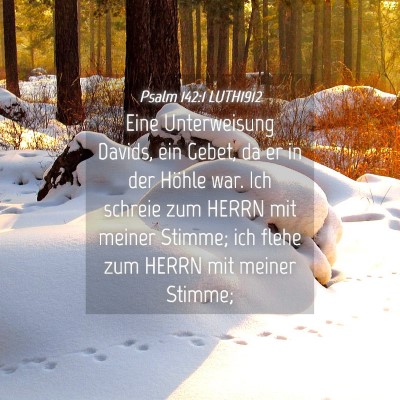 Picture 04 - Psalm 142:1 LUTH1912 - Eine Unterweisung Davids, ein Gebet, da er in der - Bible Verse Picture