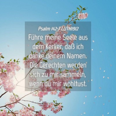 Picture 04 - Psalm 142:7 LUTH1912 - Führe meine Seele aus dem Kerker, daß ich danke - Bible Verse Picture