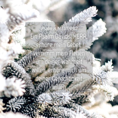 Picture 04 - Psalm 143:1 LUTH1912 - Ein Psalm Davids. HERR, erhöre mein Gebet, - Bible Verse Picture