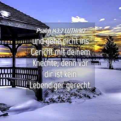 Picture 04 - Psalm 143:2 LUTH1912 - und gehe nicht ins Gericht mit deinem Knechte; - Bible Verse Picture