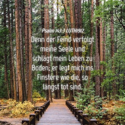 Picture 04 - Psalm 143:3 LUTH1912 - Denn der Feind verfolgt meine Seele und schlägt - Bible Verse Picture