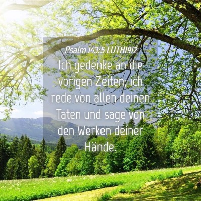 Picture 04 - Psalm 143:5 LUTH1912 - Ich gedenke an die vorigen Zeiten; ich rede von - Bible Verse Picture