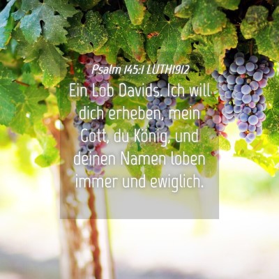 Picture 04 - Psalm 145:1 LUTH1912 - Ein Lob Davids. Ich will dich erheben, mein Gott, - Bible Verse Picture