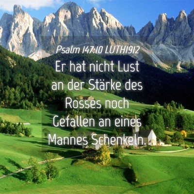 Picture 04 - Psalm 147:10 LUTH1912 - Er hat nicht Lust an der Stärke des Rosses noch - Bible Verse Picture