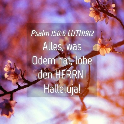Picture 04 - Psalm 150:6 LUTH1912 - Alles, was Odem hat, lobe den HERRN! - Bible Verse Picture